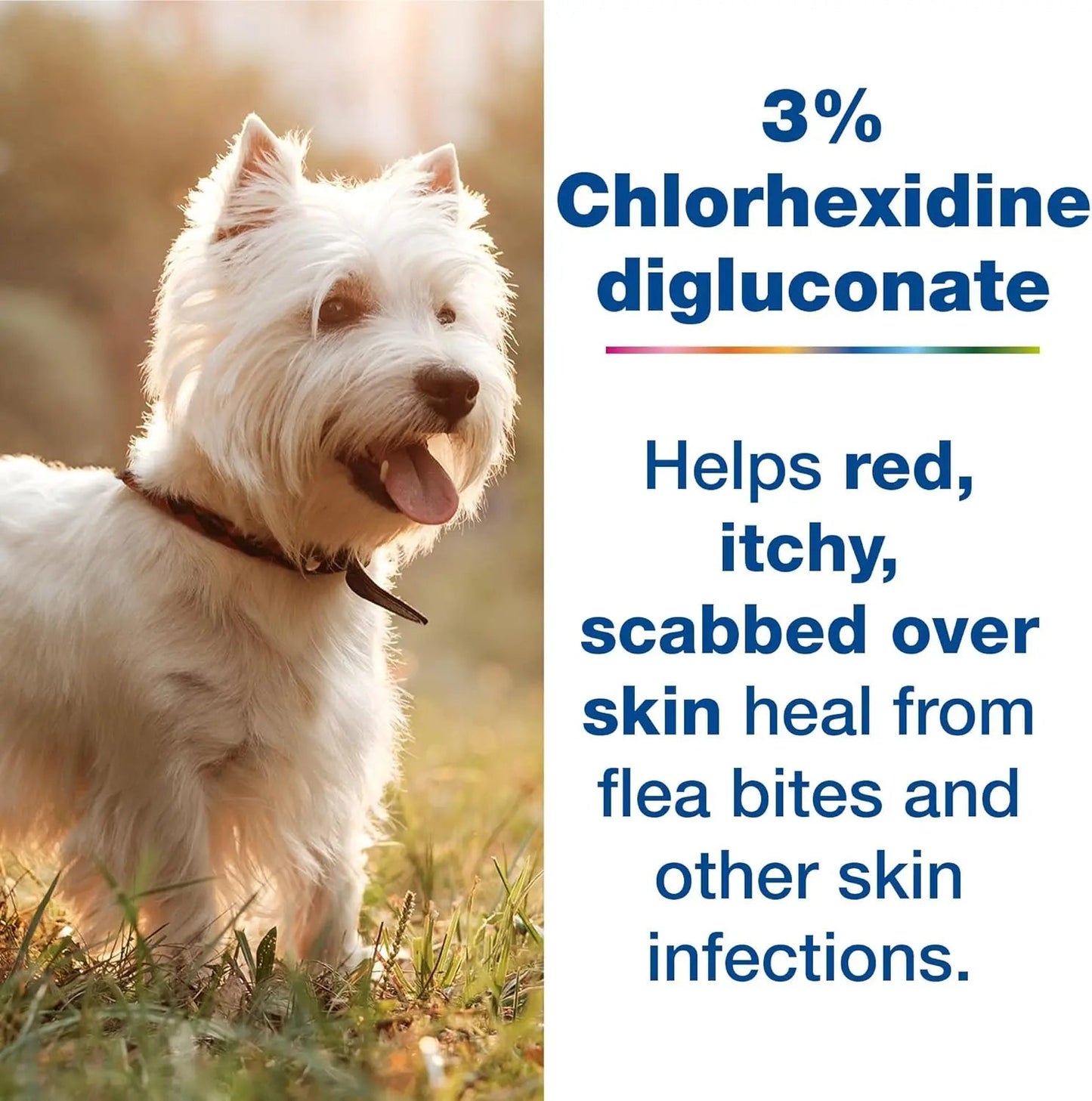 S3 PYO Antibacterial Dog Shampoo & Mousse Set detail view - Clinical-grade quality for dogs and cats