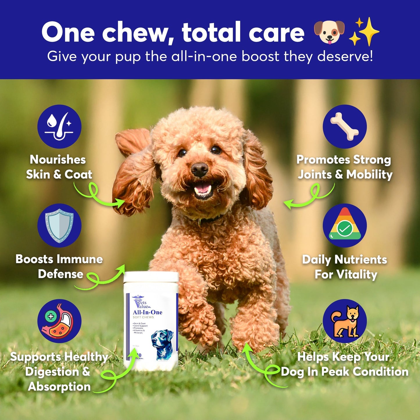 Dog Multivitamin Chews (120 Soft Chews) - All-in-one Vitamins detail view - Clinical-grade quality for dogs and cats