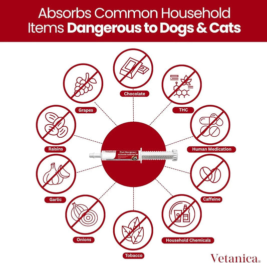 Activated Charcoal Pet First Aid Kit Poison Rescue 2 Pack (30ml) detail view - Clinical-grade quality for dogs and cats