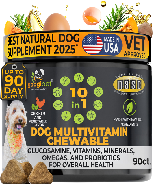 10 in 1 Multivitamin Chews for Dogs (chicken Flavor) - Premium pet wellness supplement by WellPaw Market