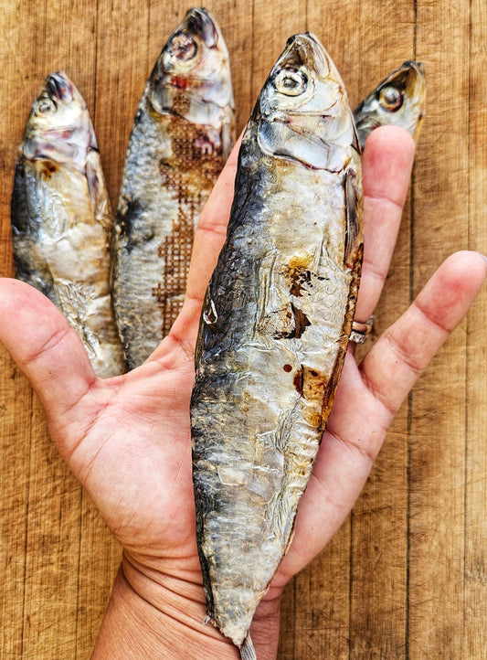 Dehydrated Wild-caught Sardines for Cats & Dogs  100% Single detail view - Clinical-grade quality for dogs and cats
