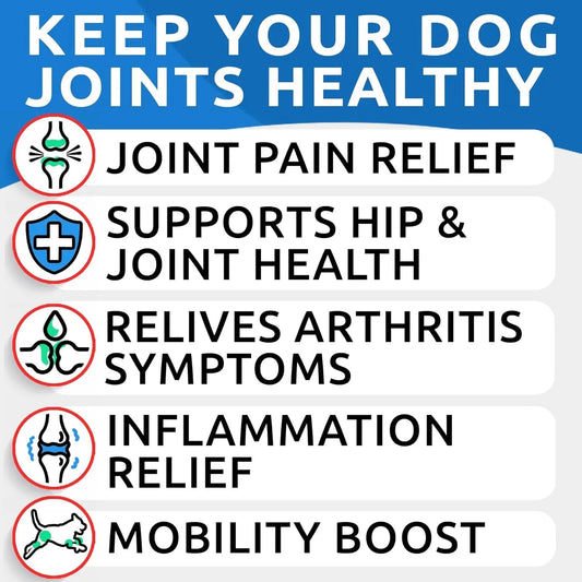 Liquid or Chews Glucosamine Joint Supplement for Dogs Mobility detail view - Clinical-grade quality for dogs and cats