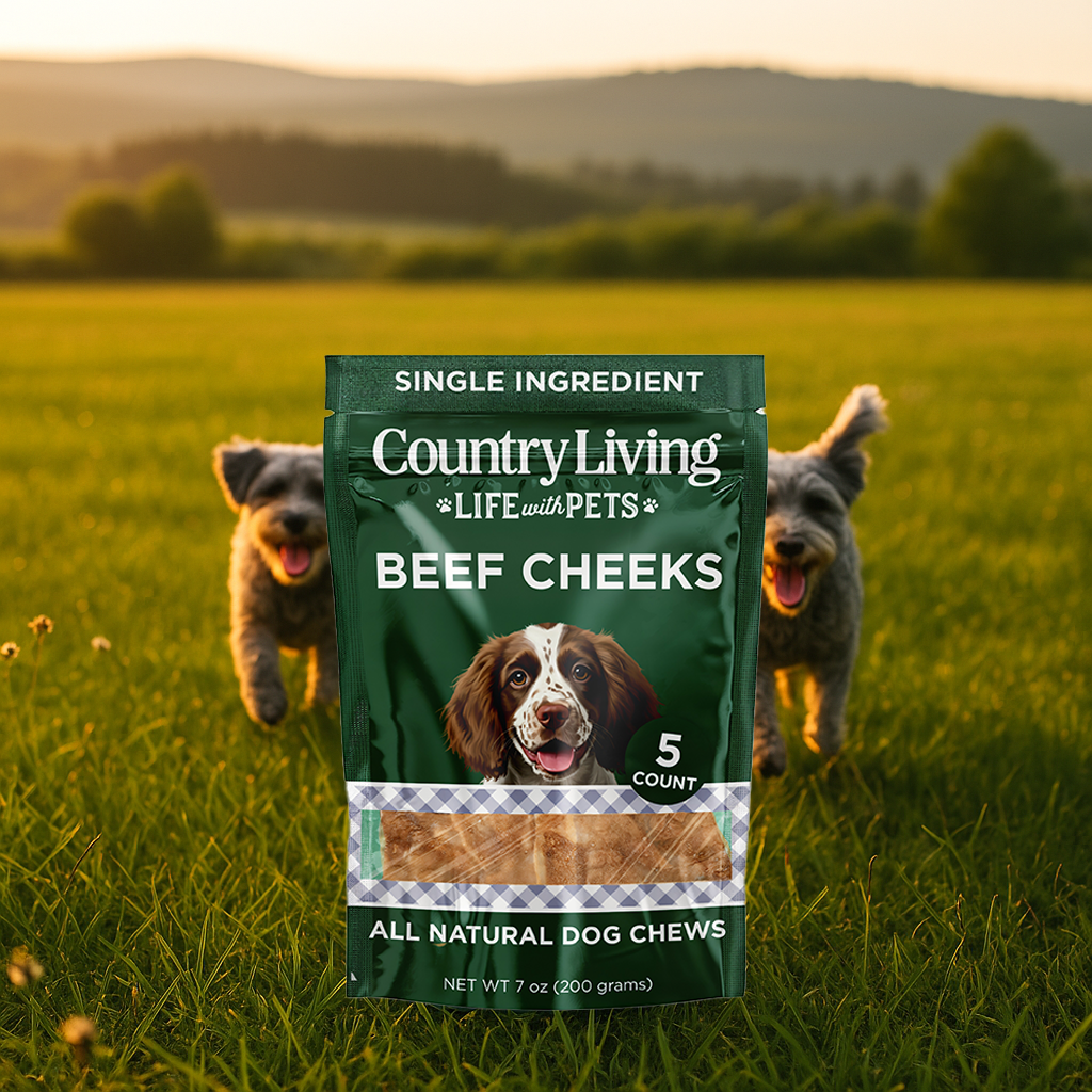 4 X 4 Beef Cheek Chip Dog Treats  Chicken detail view - Clinical-grade quality for dogs and cats