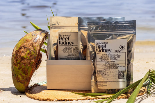 Dehydrated Beef Kidney detail view - Clinical-grade quality for dogs and cats