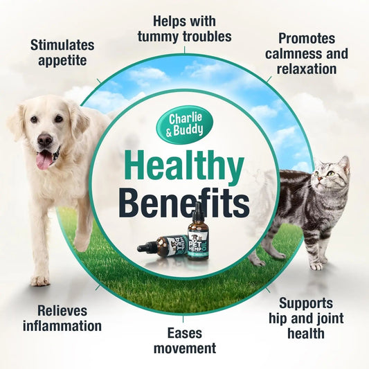 Charlie & Buddy Hemp Oil for Dogs & Cats, Calming & Joint detail view - Clinical-grade quality for dogs and cats