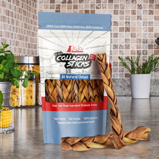 Braided Collagen Stick Dog Treats for Joint Health - 12-inch detail view - Clinical-grade quality for dogs and cats