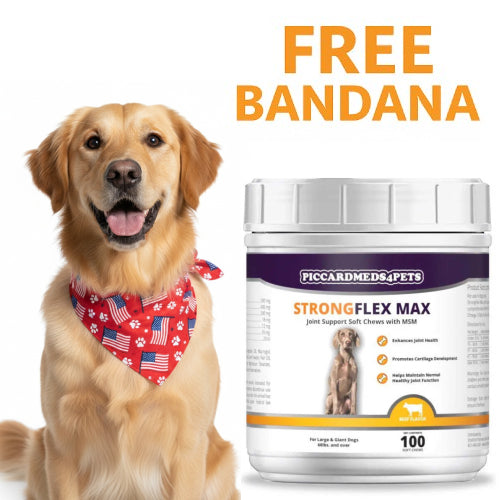 Strongflex Max Joint Support Chews Large - Premium pet wellness supplement by WellPaw Market