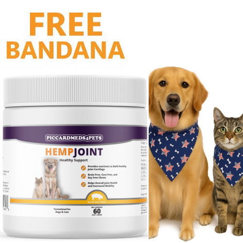 Hemp + Msm Joint Support Chews for Dogs and - Premium pet wellness supplement by WellPaw Market