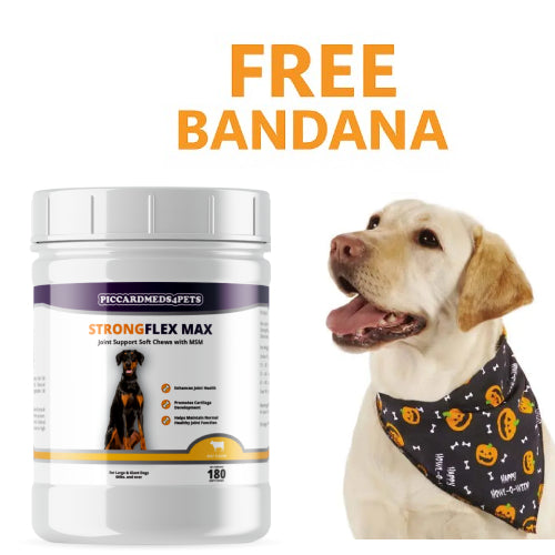 Strongflex Max Joint Support Chews Large - Premium pet wellness supplement by WellPaw Market