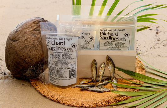 Dehydrated Wild Caught Pilchard Sardines for Cats & Dogs - Premium pet wellness supplement by WellPaw Market