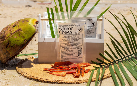 Wild-caught Salmon Chews  2oz - Premium pet wellness supplement by WellPaw Market