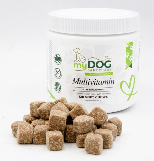 Sanctuary Strength Daily Multivitamin Chews - Premium pet wellness supplement by WellPaw Market
